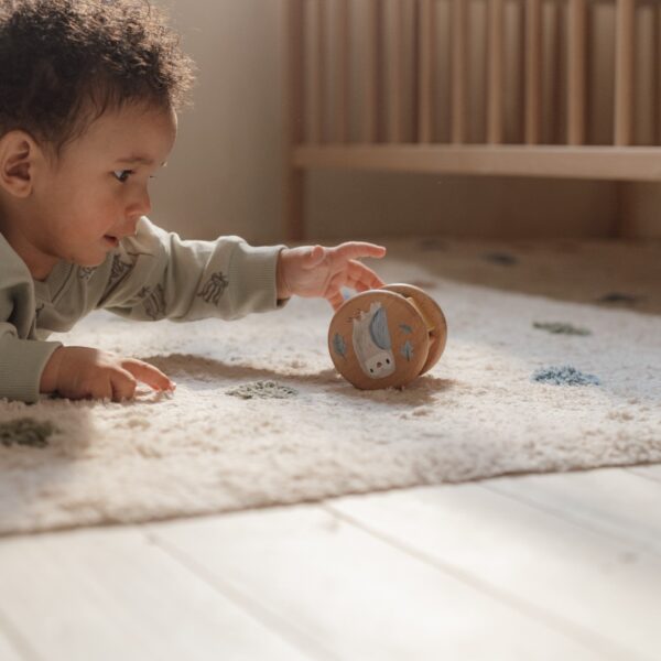 LITTLE DUTCH. Ξύλινο σετ δώρου Forest Friends FSC - Image 10